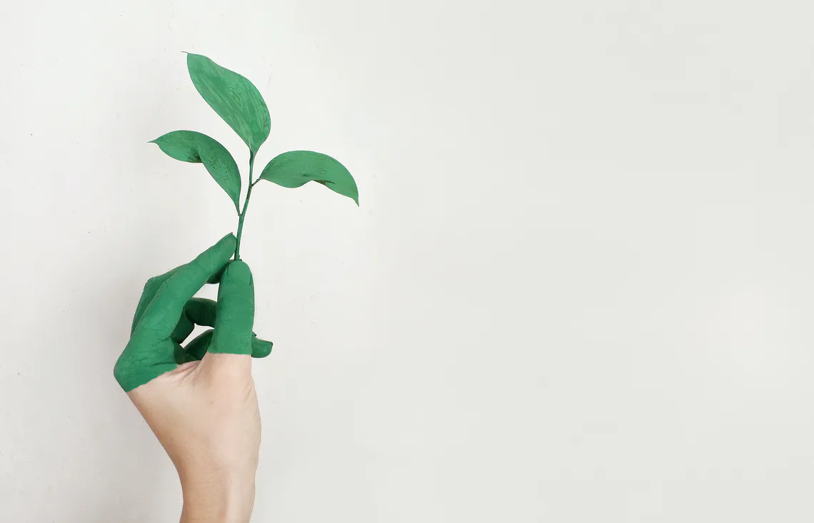 Main tenant une jeune pousse, symbole de construction durable